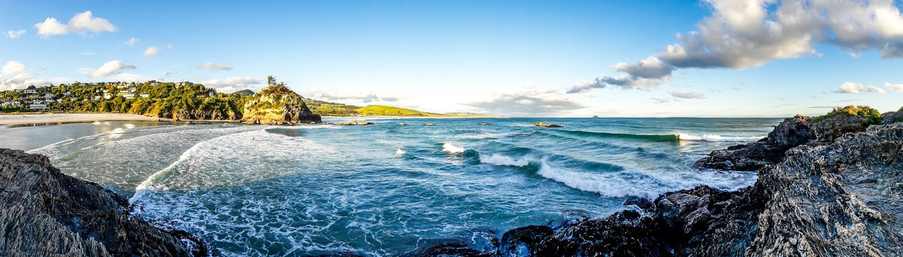 Strand von Dunedin